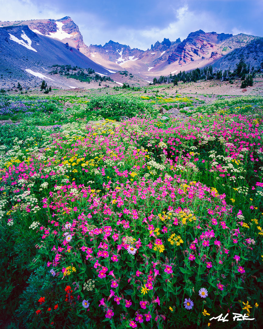 Broken Top Mountain, Eruption, alpine wildflowers,Oregon wildflowers Broken Top Hike, Best hikes in Bend Oregon