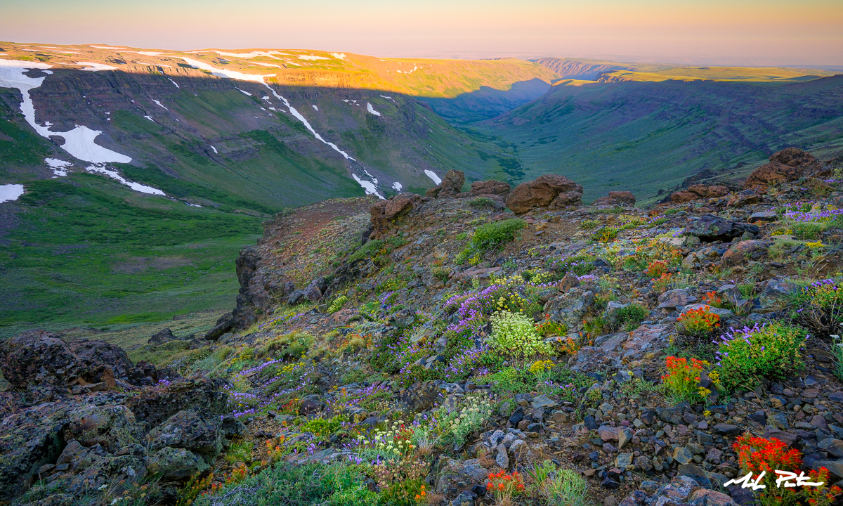 Steens Mountain Wildflowers, landscape photograph,Sunrise, fine art photograph, Oregon landscape photographer, photo for sale, fine art print