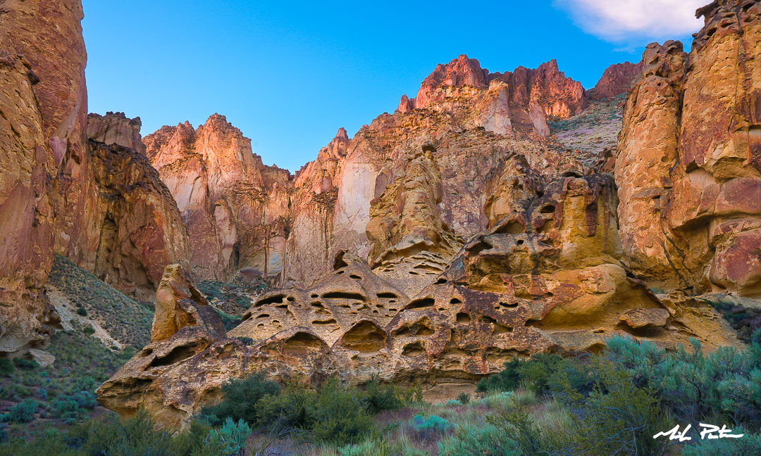 Leslie Gulch Honeycombs, Owyhee River Canyonlands