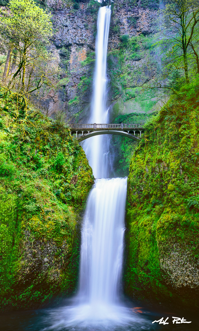 Multnomah Falls, Oregon, Film Camera, Real photograph, fine art photo