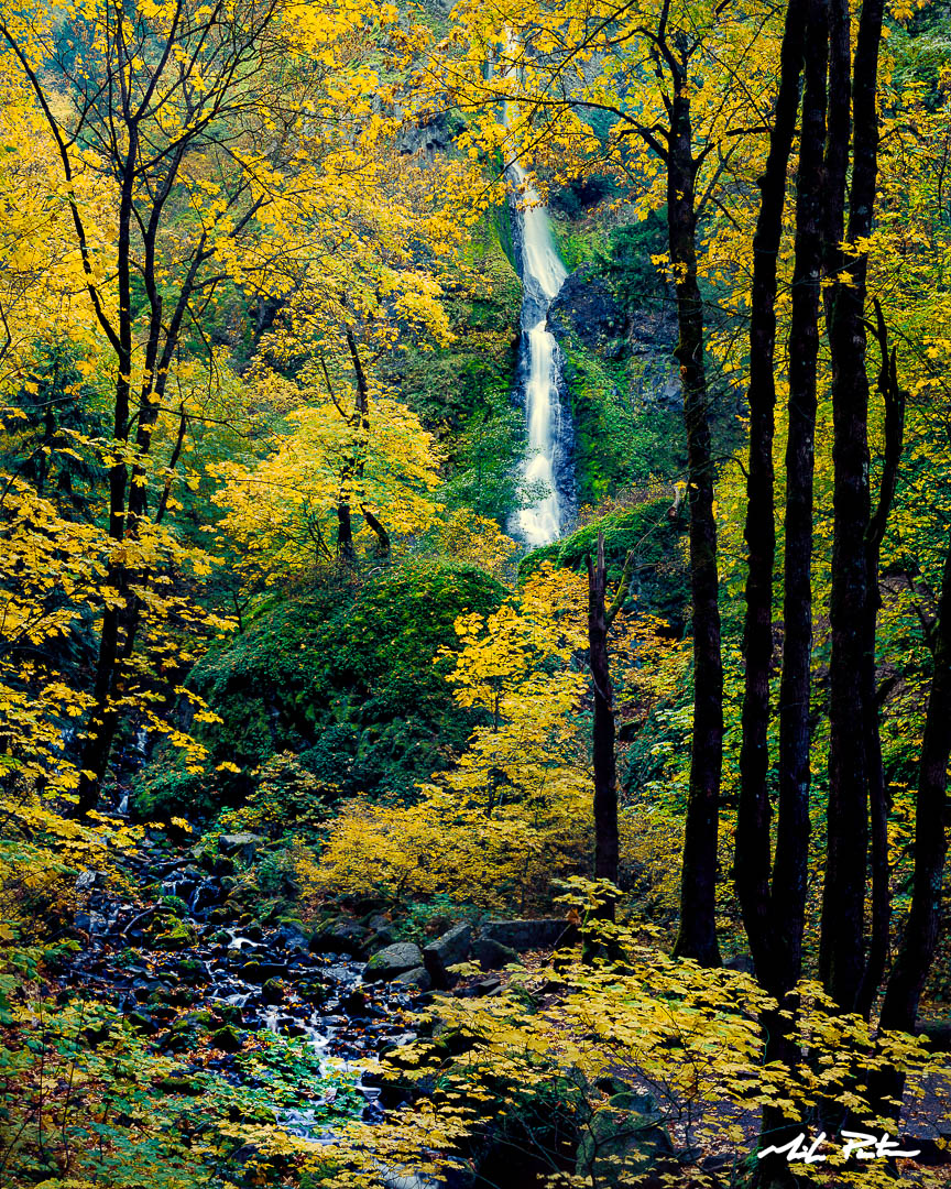 Starvation Creek Falls, Columbia River Gorge, Oregon waterfall, fall color