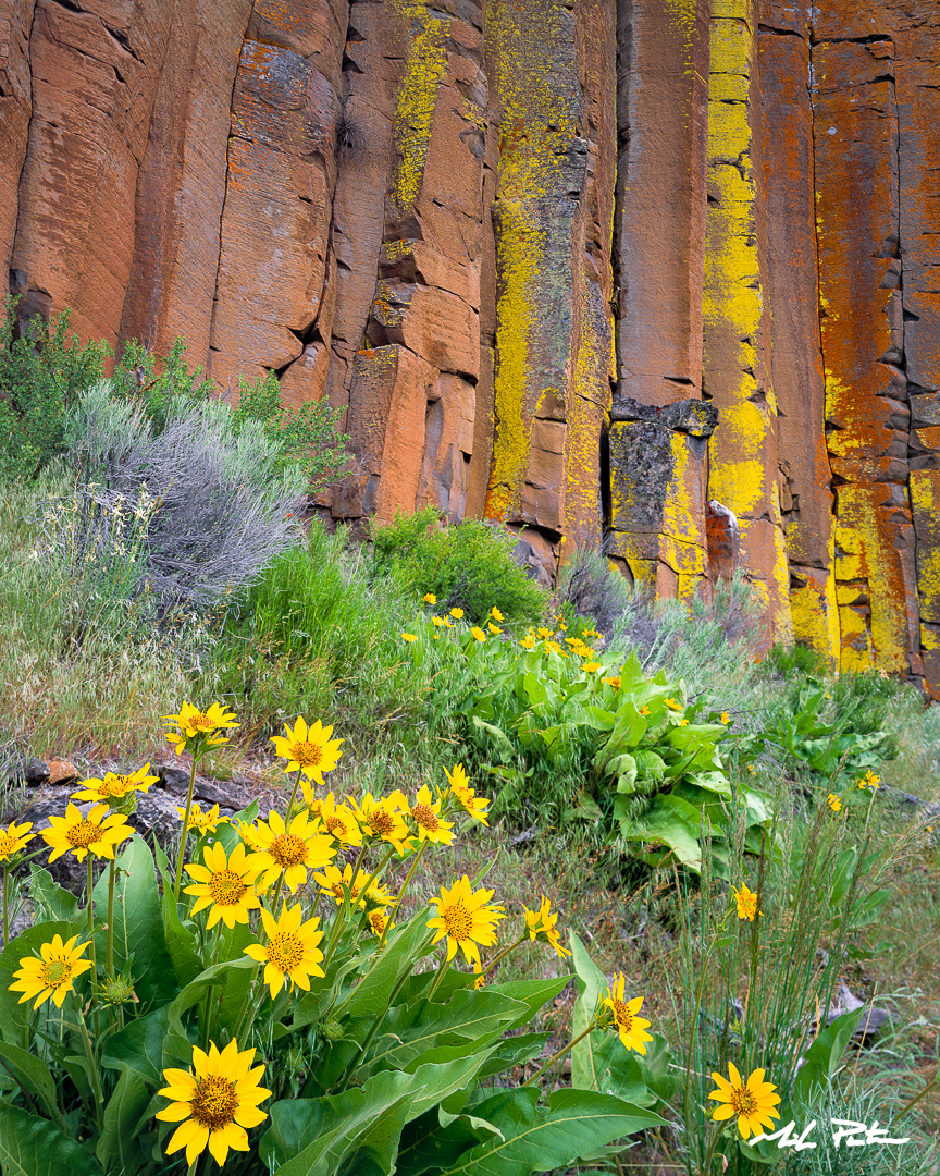 sisters oregon,basalt columns,lichen,blasamroot