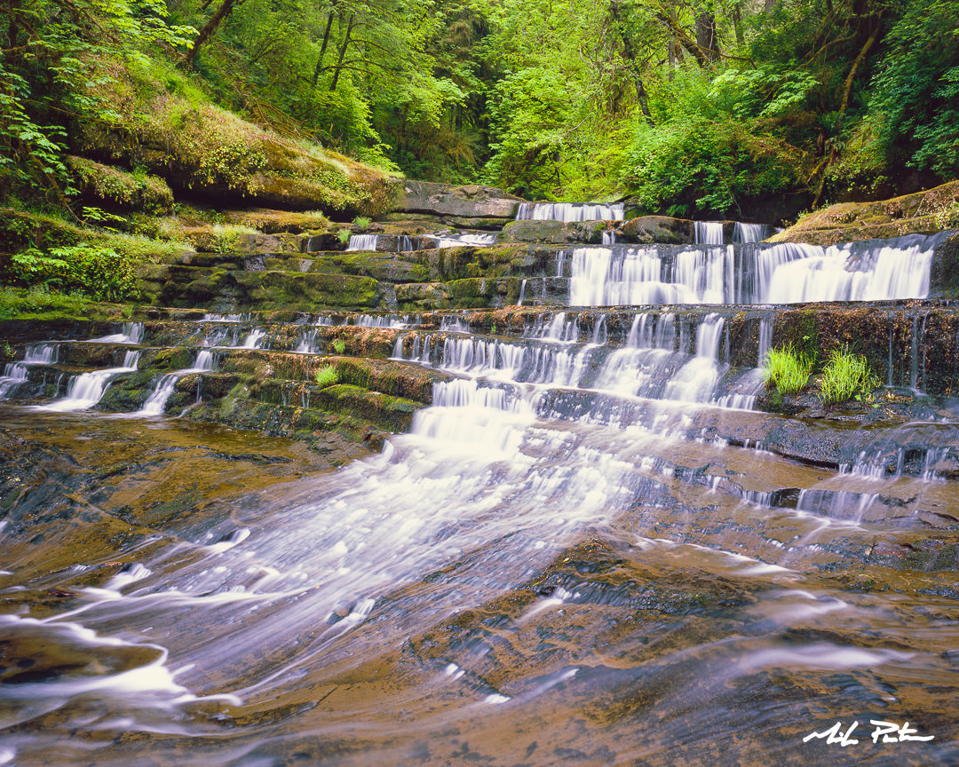 Devil's Staircase, Siuslaw National Forest, Oregon Coast Range, Devil's Staircase Wilderness