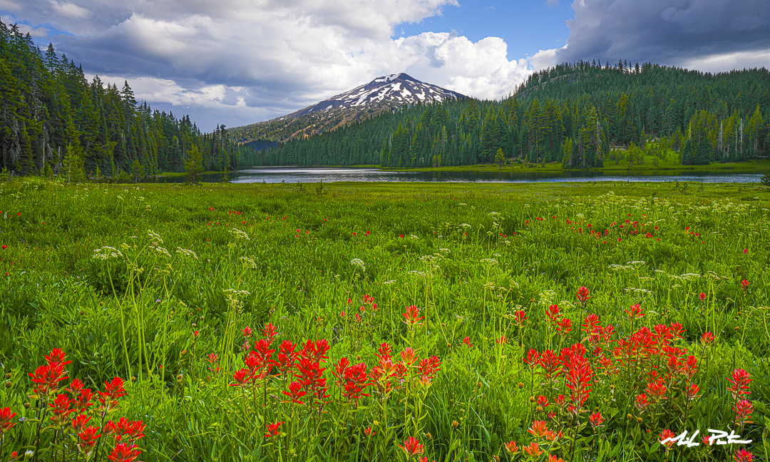 Todd Lake Meadows, Mt Bachelor, Indian Paintbrush, Oregon wildflowers, fine art landscape photograph, Bend Oregon landscape photographer, photos for sale