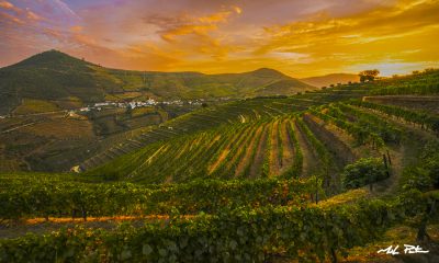 Douro River Valley, Quinta Da Côrte, sunrise, photo for sale, Douro Valley photos for sale, landscape, prints, fine art, portugal vineyard