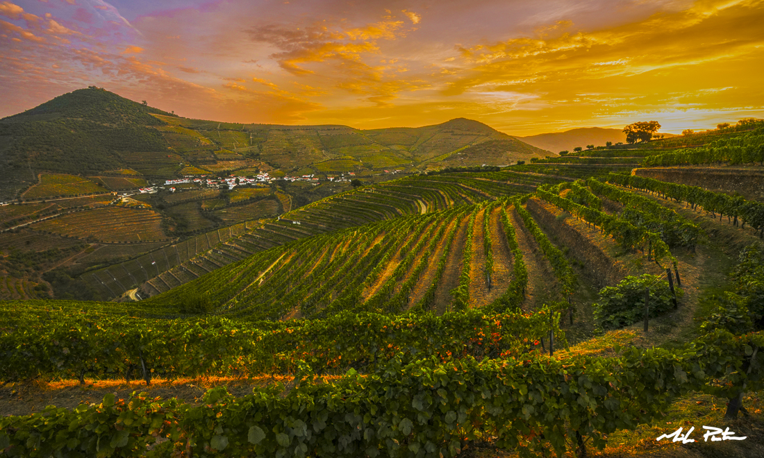 Douro River Valley, Quinta Da Côrte, sunrise, photo for sale, Douro Valley photos for sale, landscape, prints, fine art, portugal vineyard